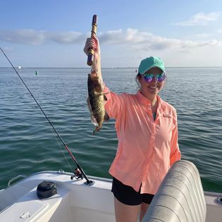 Lingcod fish caught while fishing in FL
