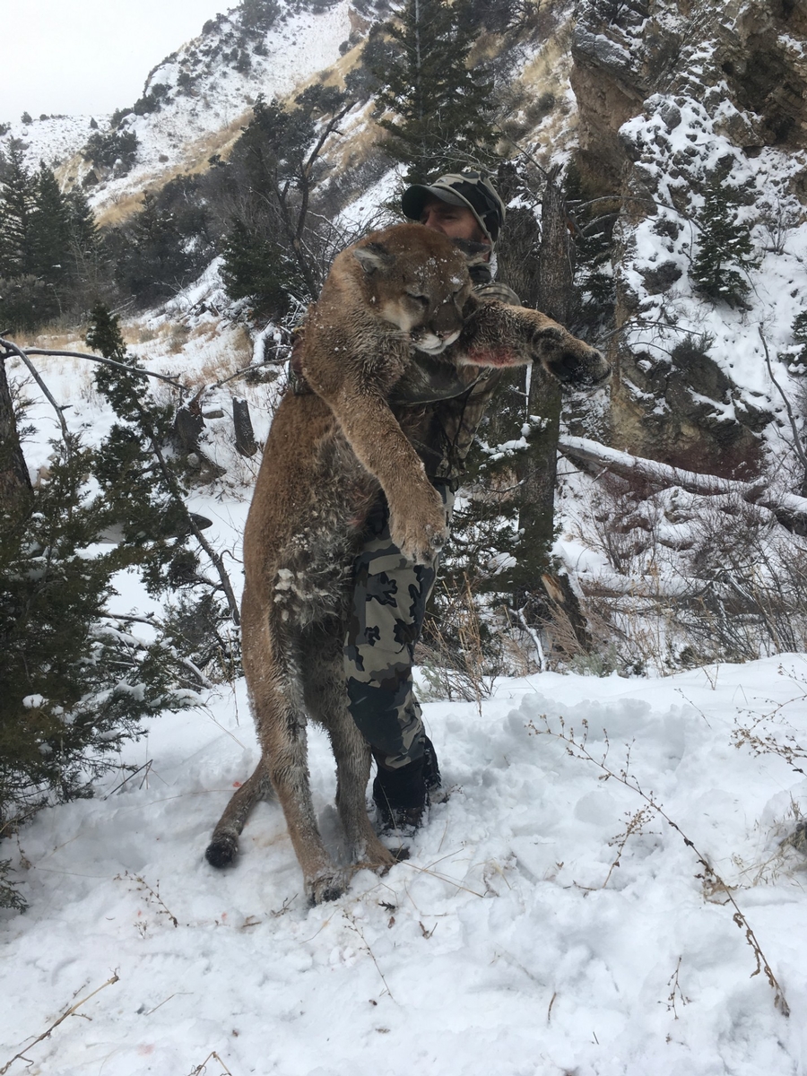 Two people hunting in NV
