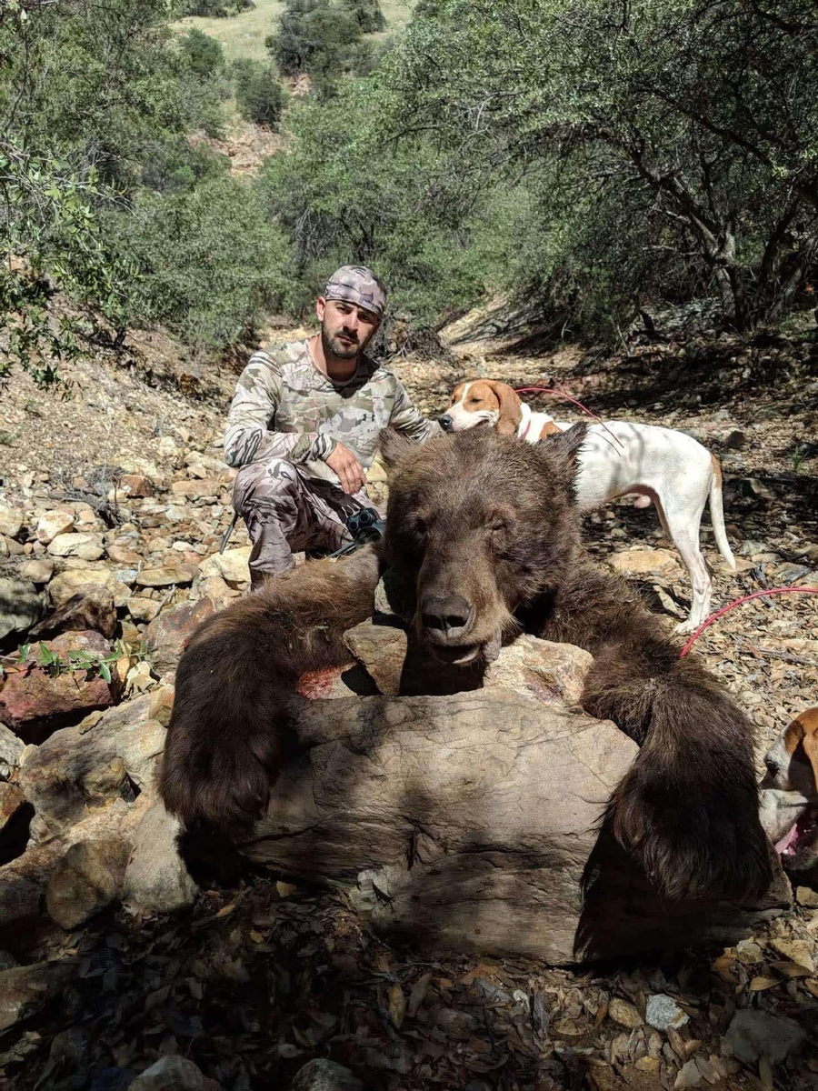 Lone hunter in Nevada wilderness