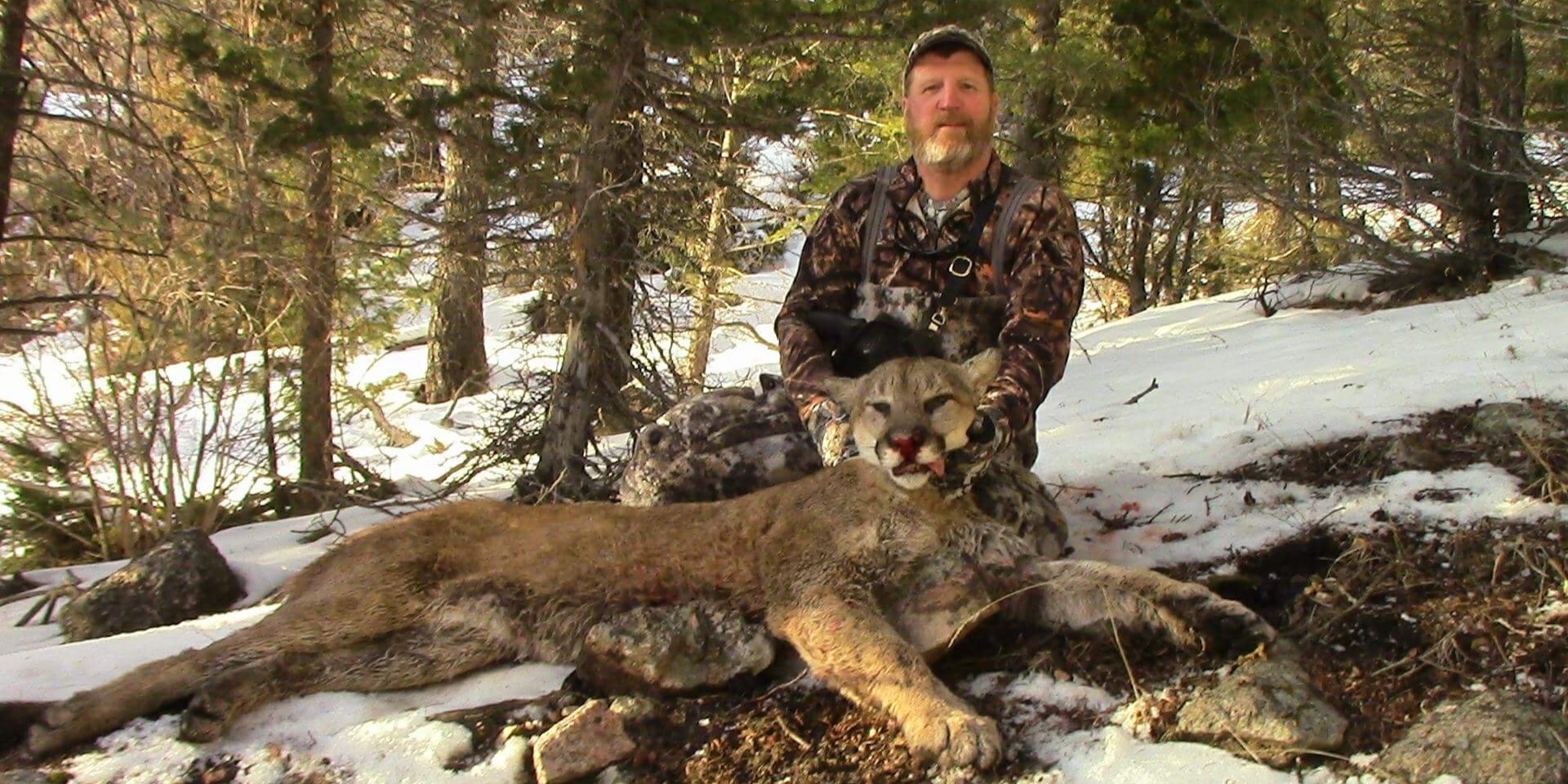 Nevada mountain lion hunting guide with hounds in Eureka wilderness terrain