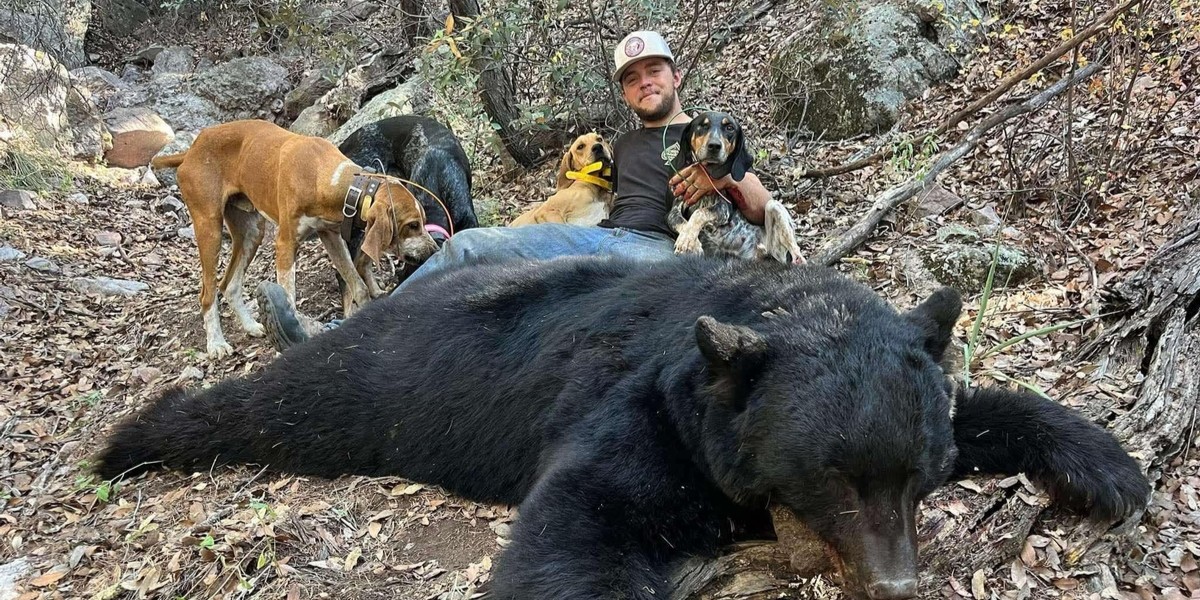 Nevada black bear hunting with hounds in Eureka - 5-day guided hunts for skilled hunters