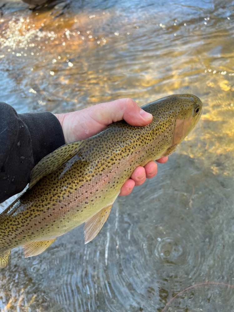 One fishing adventure in NC