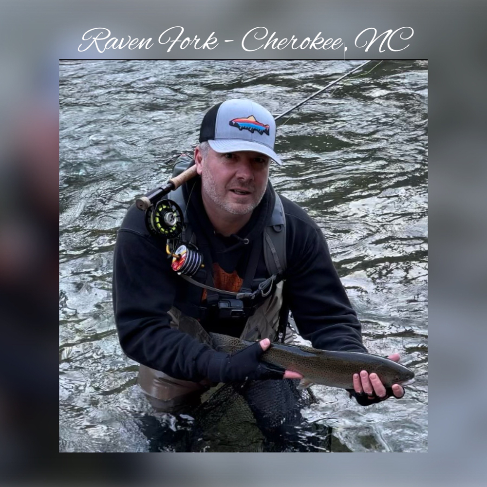 Photograph of a rainbow trout fish caught in NC
