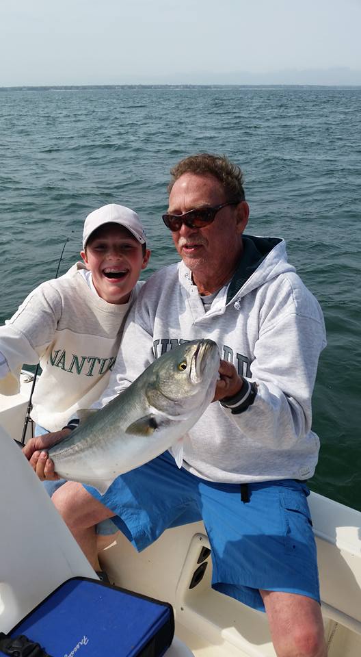 Bluefish, 11 inches, caught fishing in MA