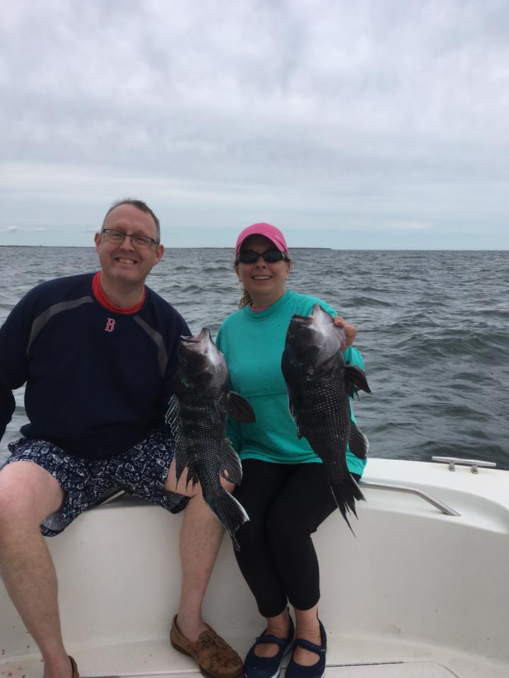 Two sea bass caught in MA