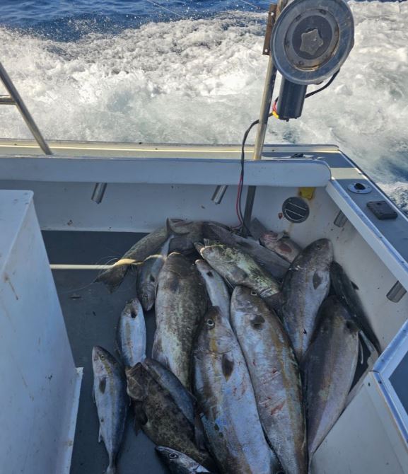 Four fishing rods with a view of Port Canaveral