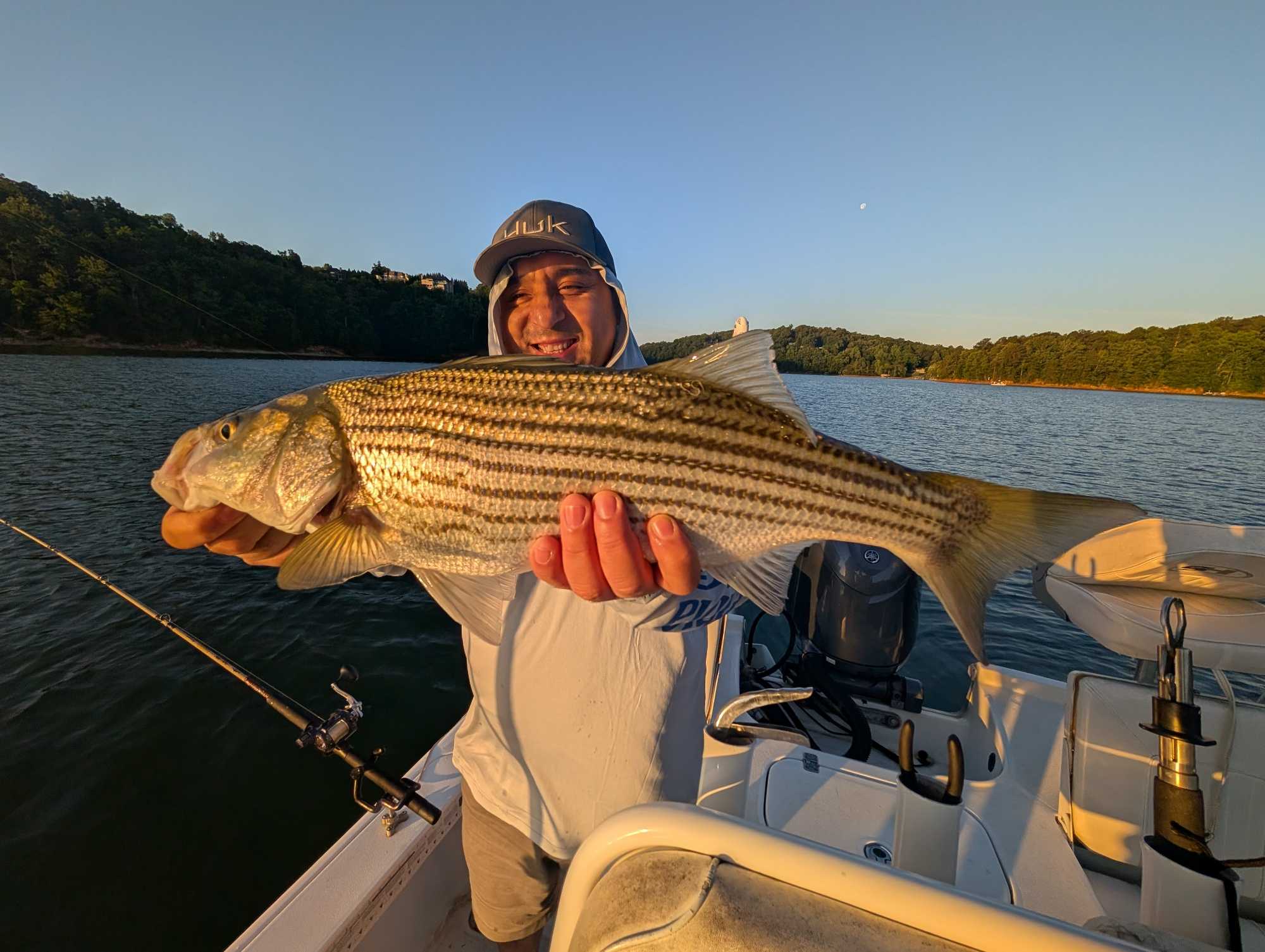 Striped bass catch displayed on fishing boat in Gainesville GA