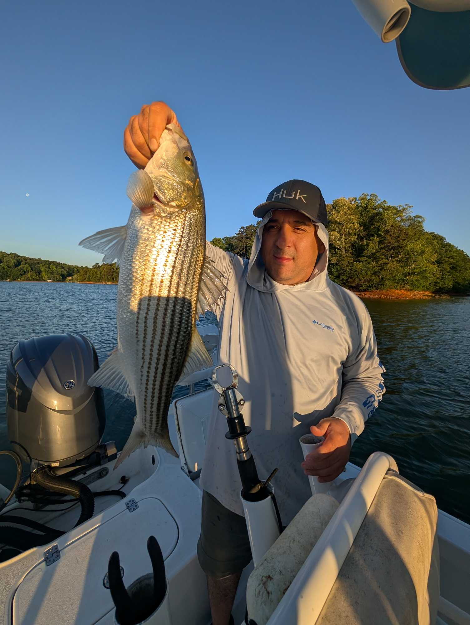 Freshly caught striped bass being held up on boat in Gainesville GA waters