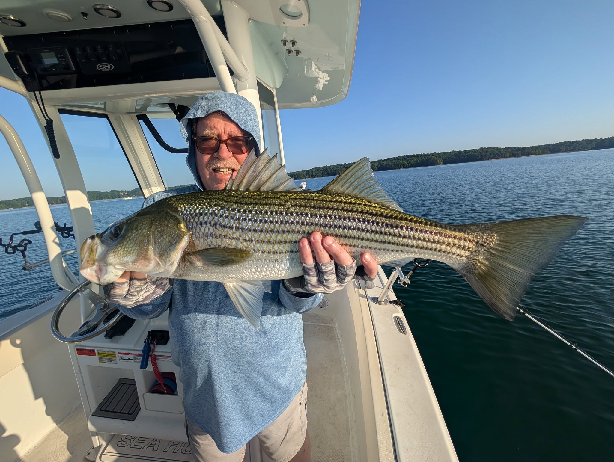 Striped bass catch held on fishing boat in Gainesville GA
