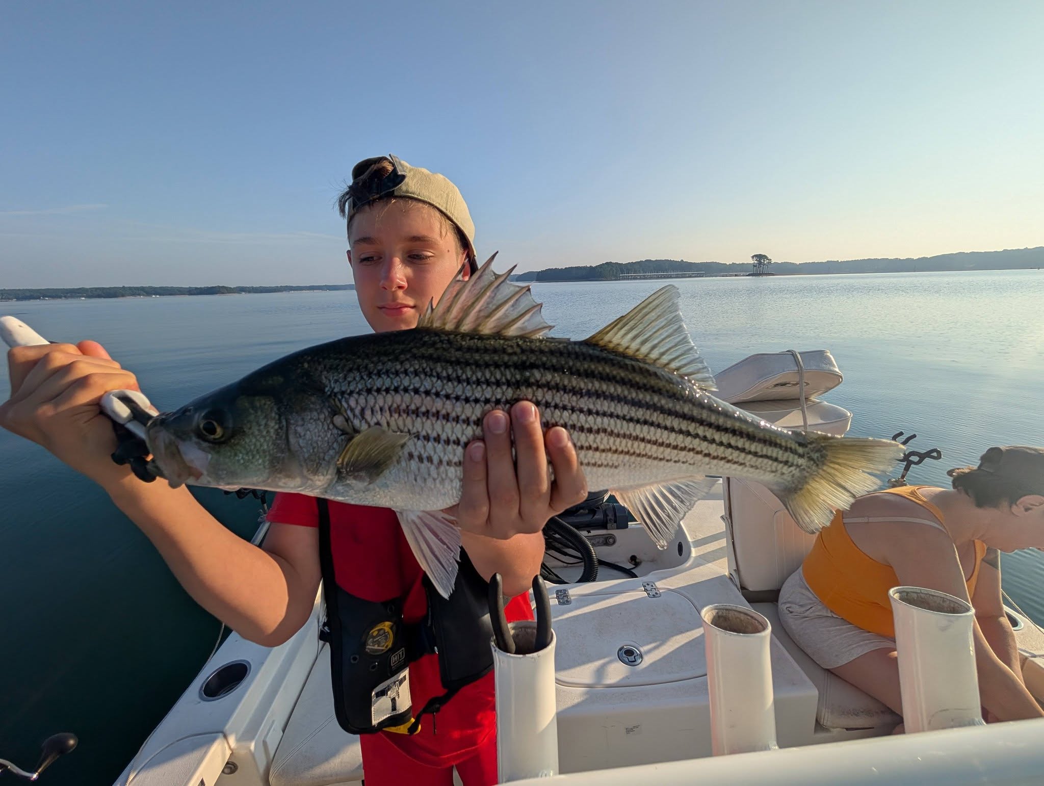 Striped bass catch on fishing boat in Gainesville GA waters