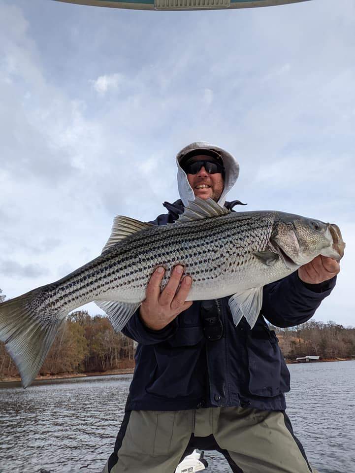 Best lake lanier fishing guide, Striped Bass