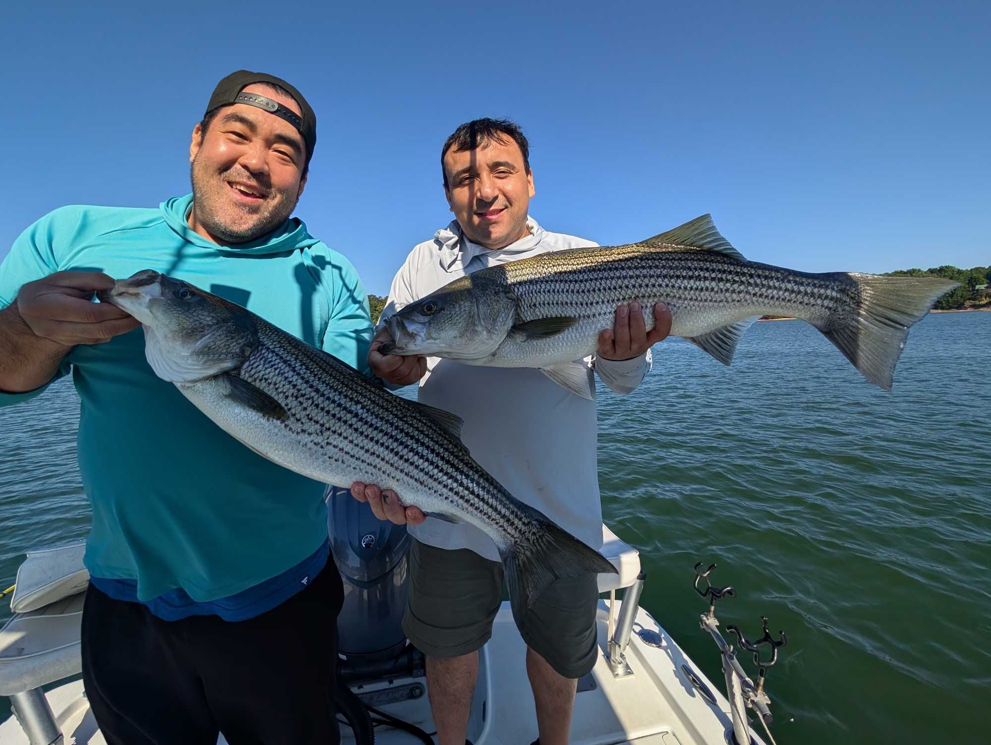 Two anglers displaying caught striped bass on fishing boat in Gainesville GA