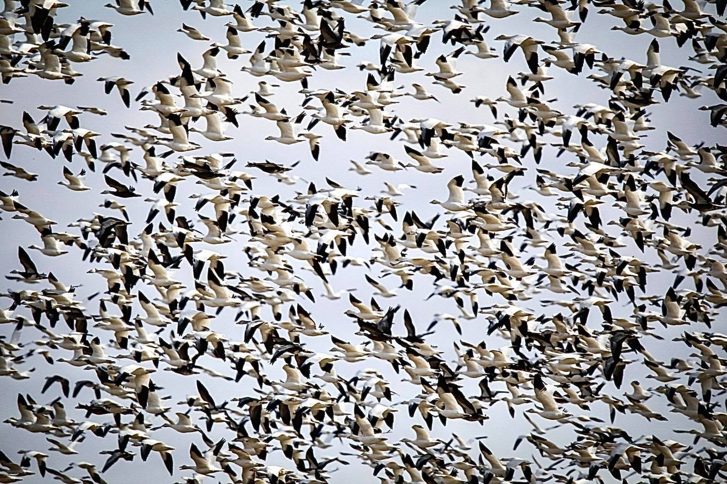 Hunting adventure in TX