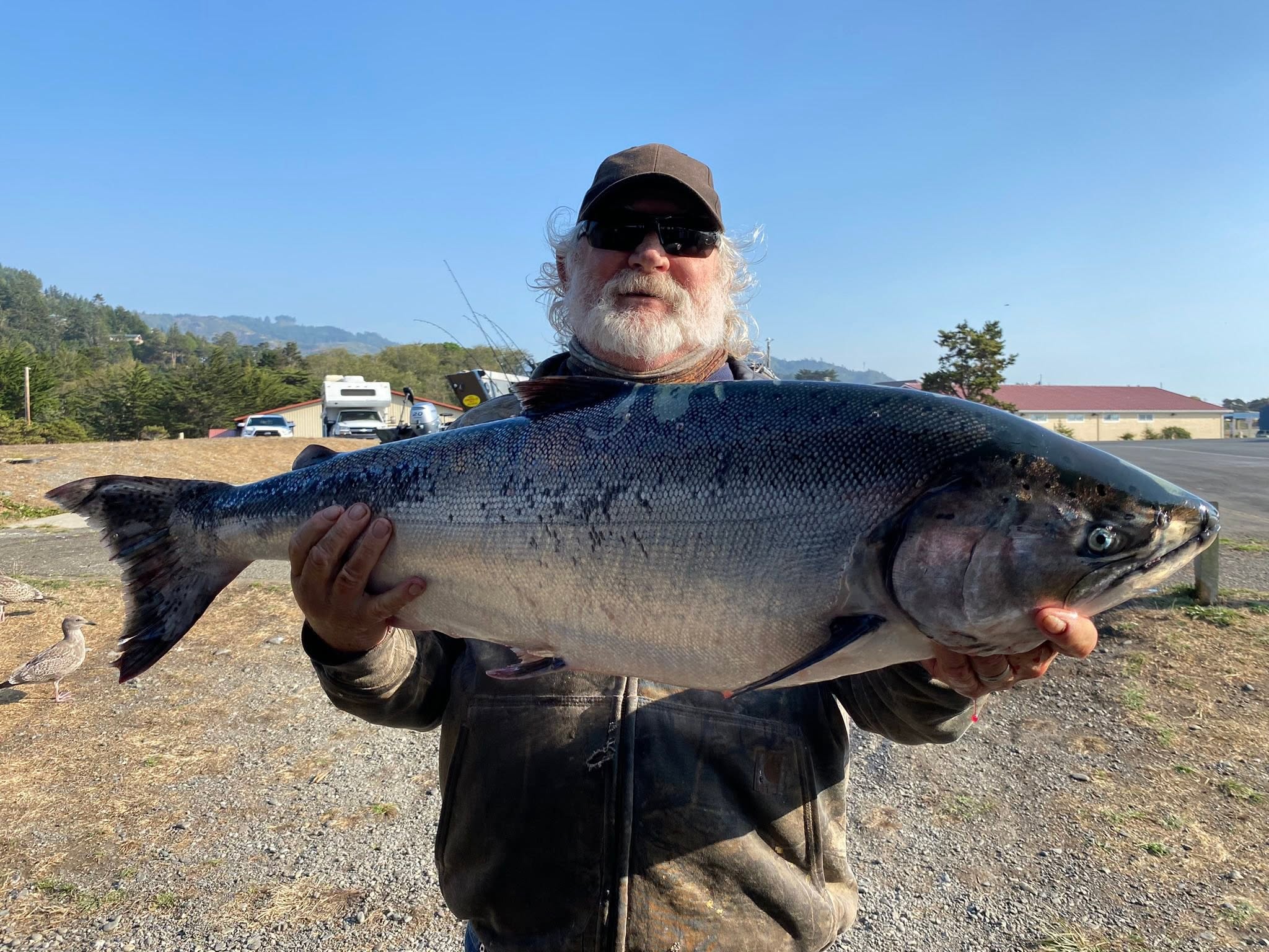 Large Chinook salmon catch displayed at Gold Beach Oregon fishing location