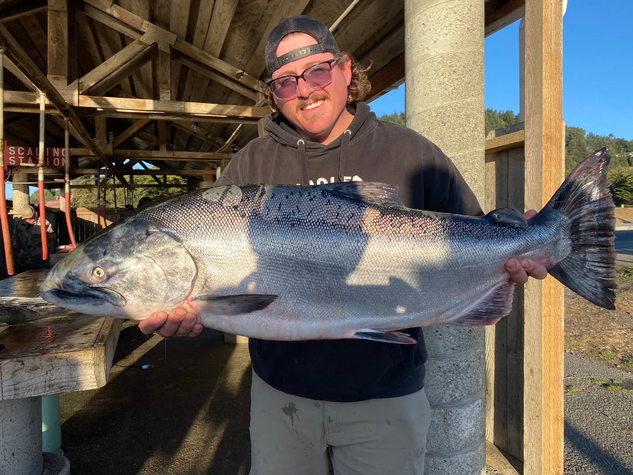 Large Chinook salmon catch displayed at fishing dock in Gold Beach Oregon