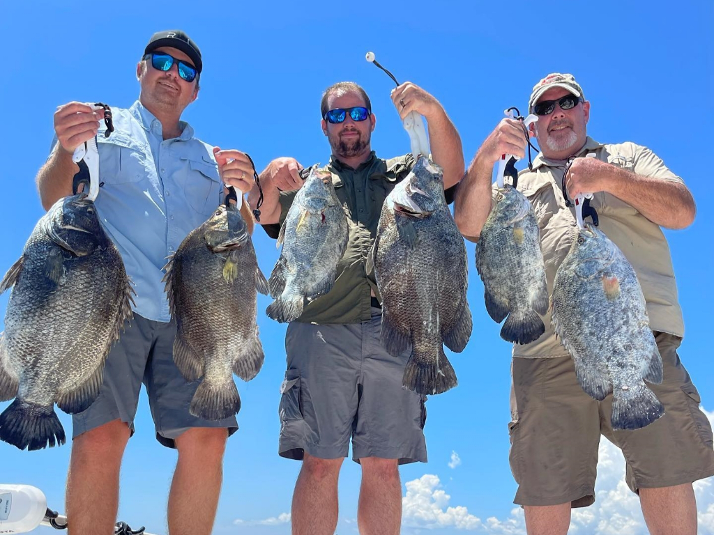 Six Tripletail fish caught in FL