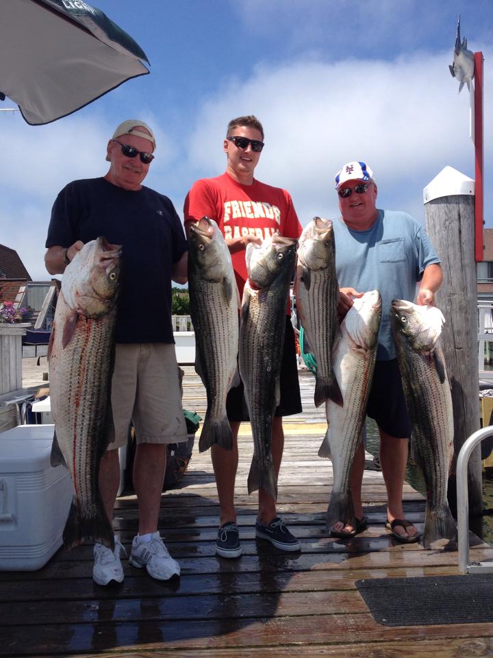 Striped bass fishing in NY