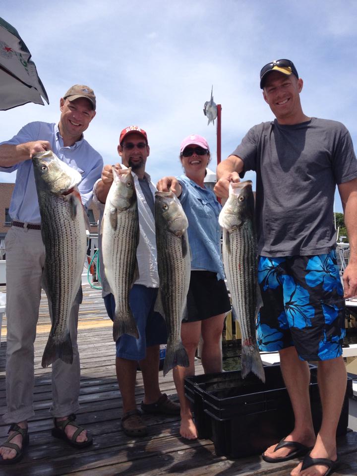 4 striped bass fish caught in NY