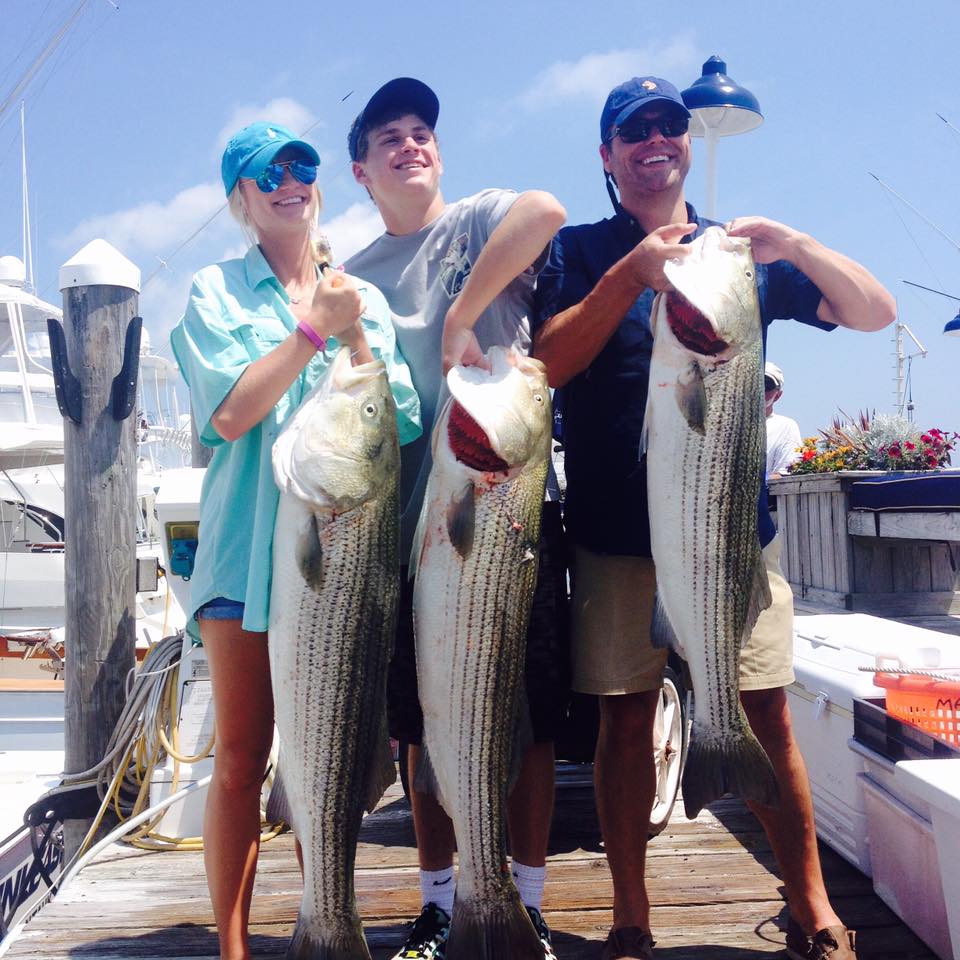 Three striped bass caught fishing in NY
