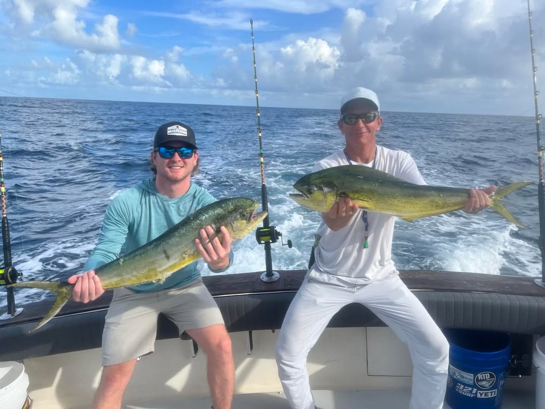 Two mahi mahi caught while fishing off Sebastian FL