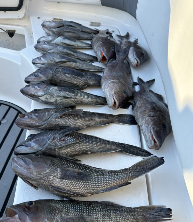 Seven fishing hooks with location Wilmington