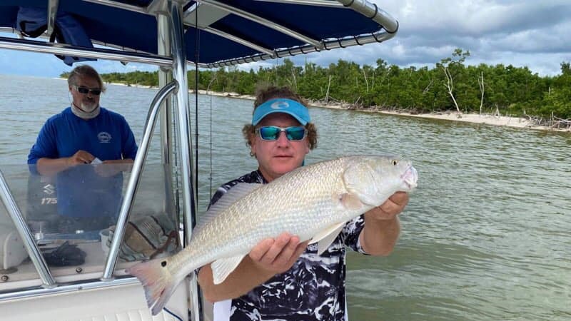 Redfish caught in Chokoloskee