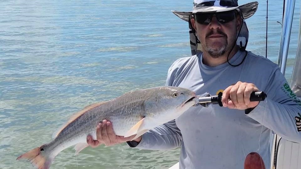 Redfish caught in Florida, 18 inches