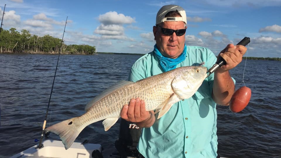 Redfish caught while fishing in Florida
