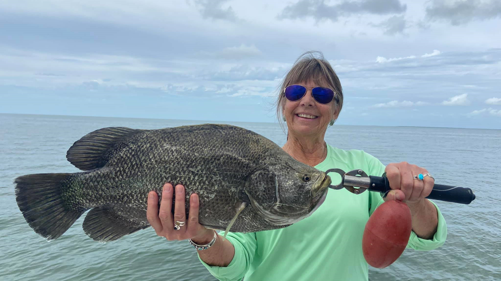 Tripletail fish caught in Chokoloskee