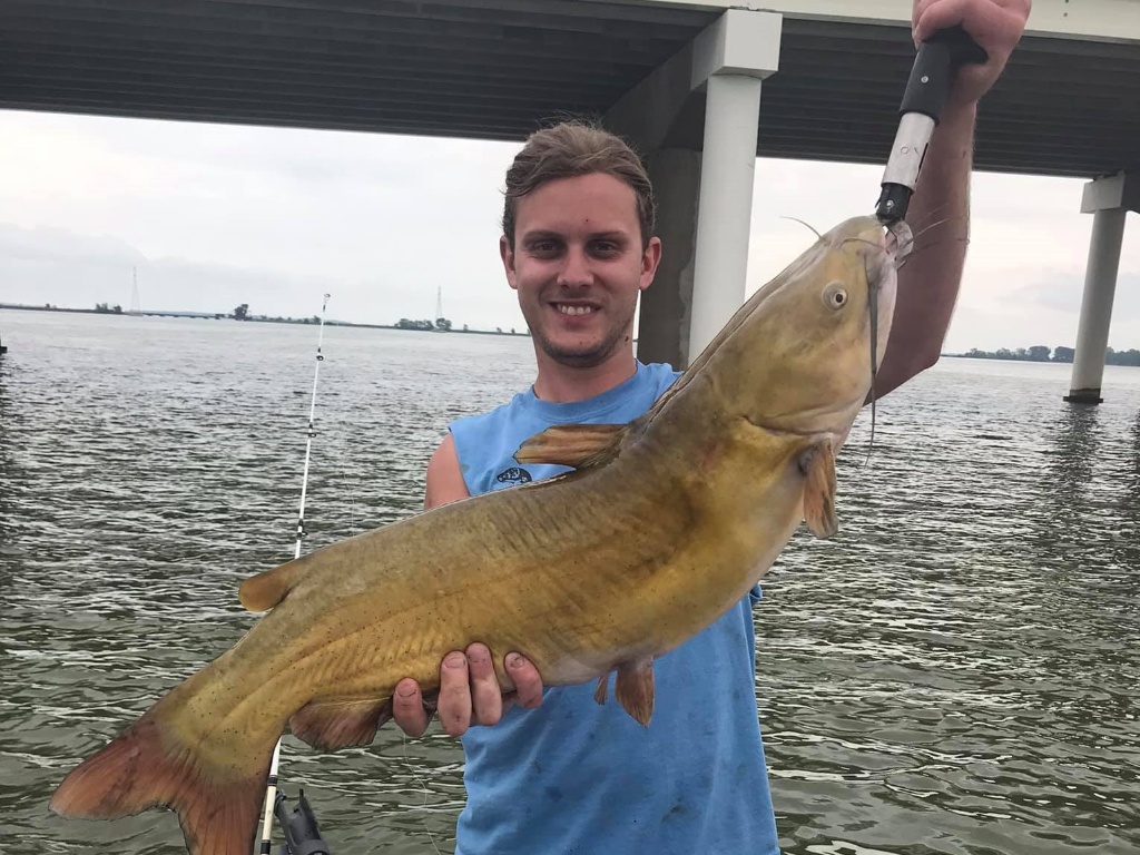 Blue Catfish, 28 inch fish caught at Lakeside Marblehead