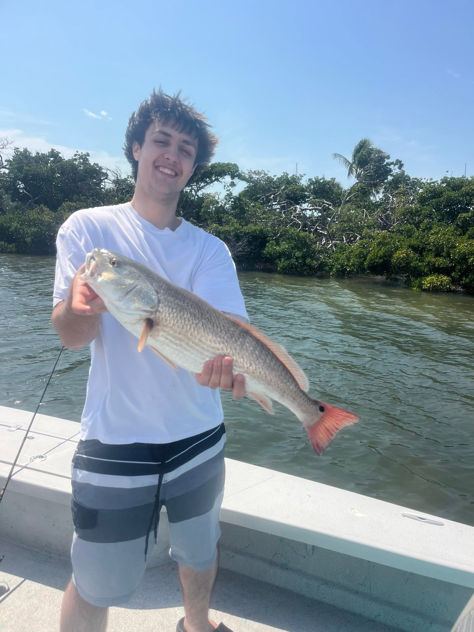 Redfish caught while fishing in Sarasota FL waters