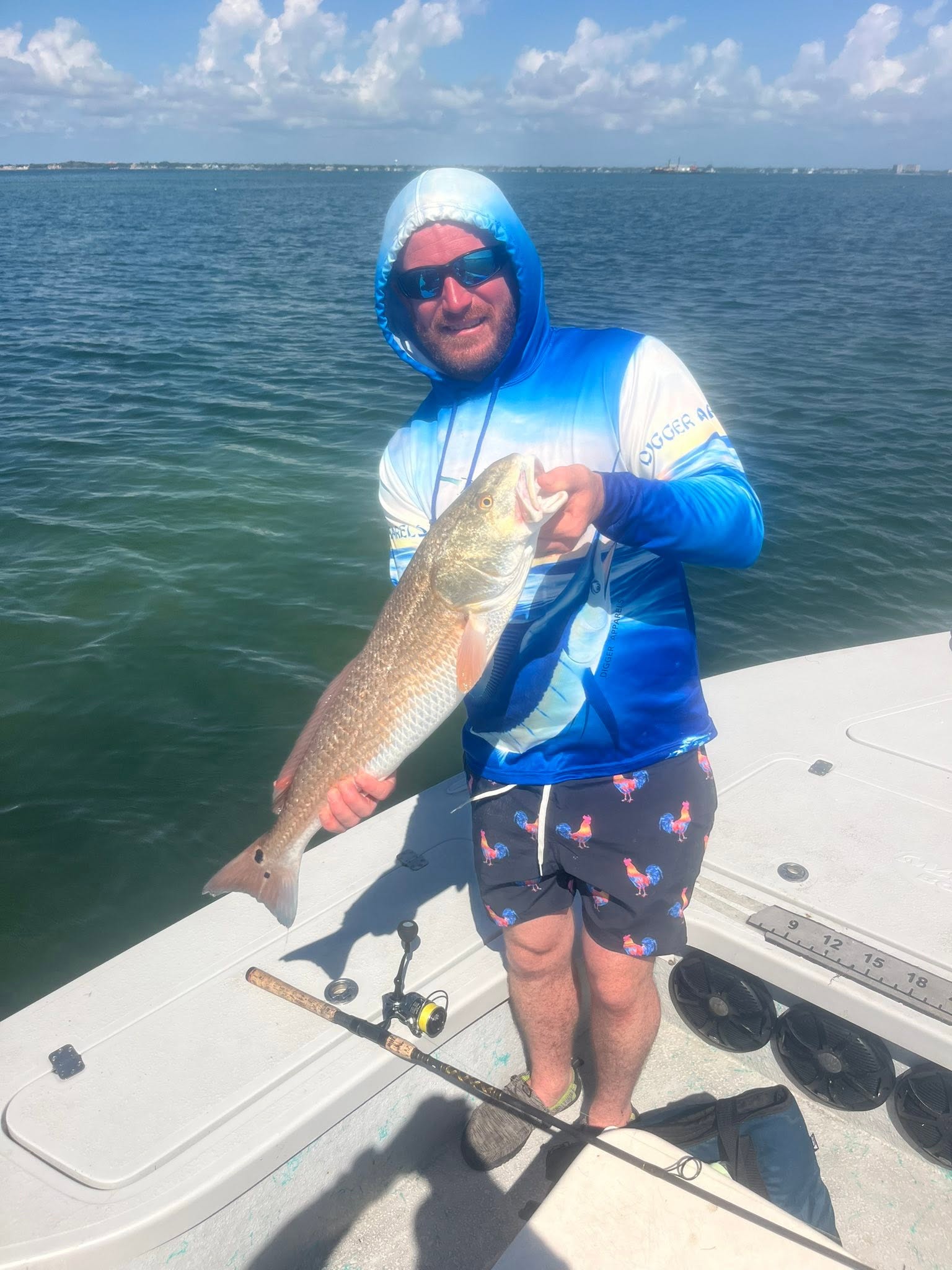 Redfish catch on fishing boat in Sarasota FL waters