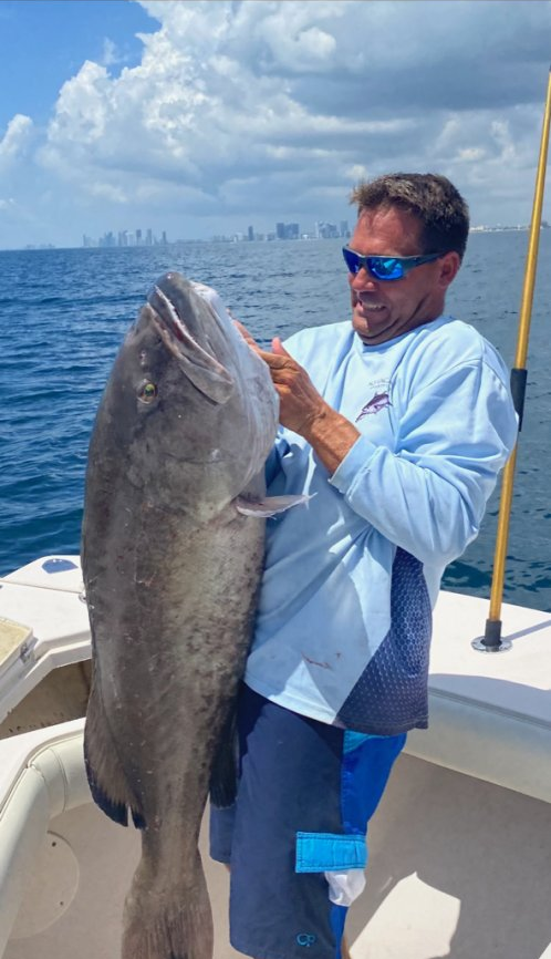 Gag Grouper, 33-inch fish caught while fishing in FL