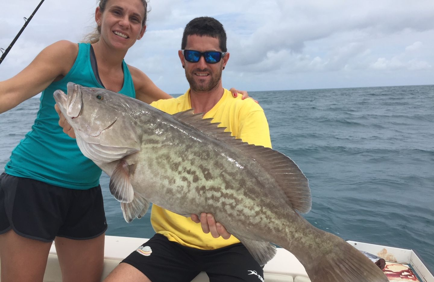 A gag grouper fish caught while fishing in Florida