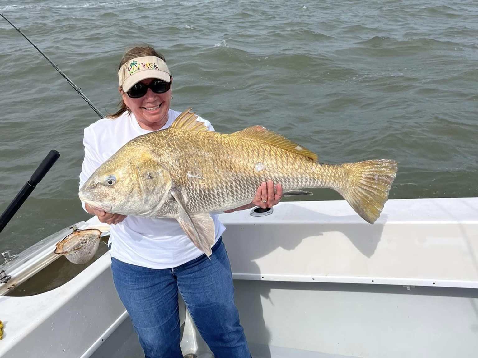 Black drum fish caught while fishing in TX