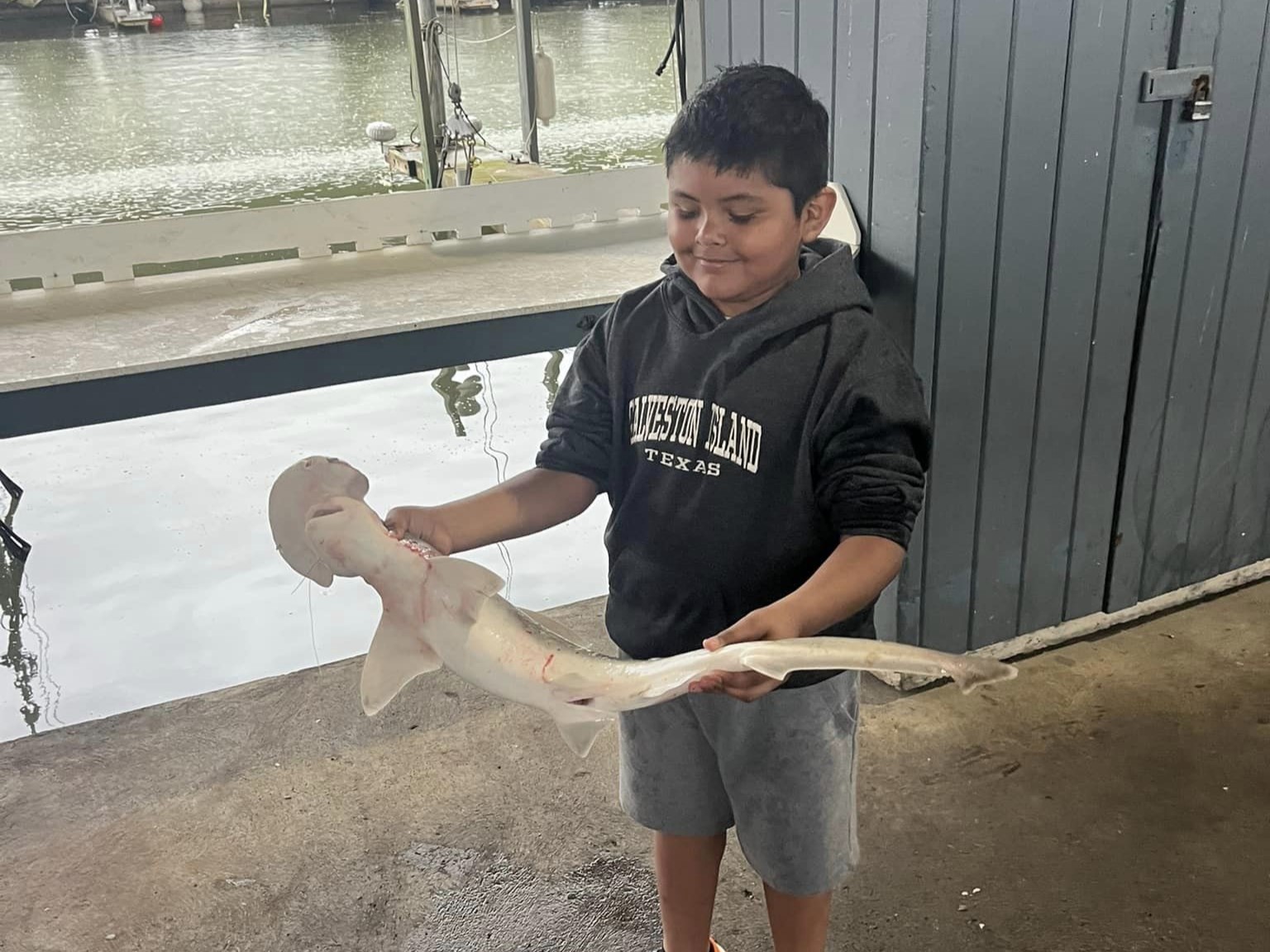 Bonnethead shark caught fishing in Galveston