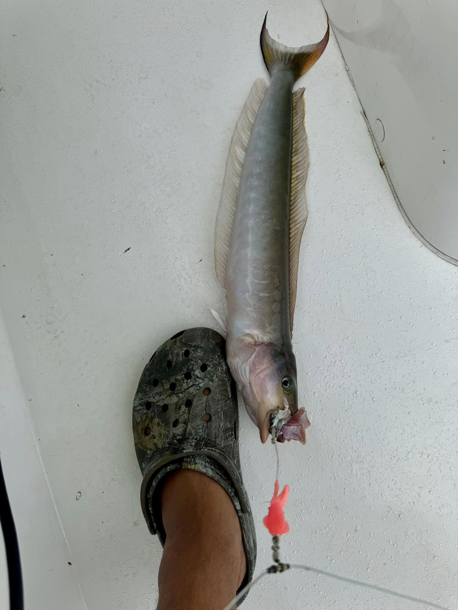 Fishing at Orange Beach