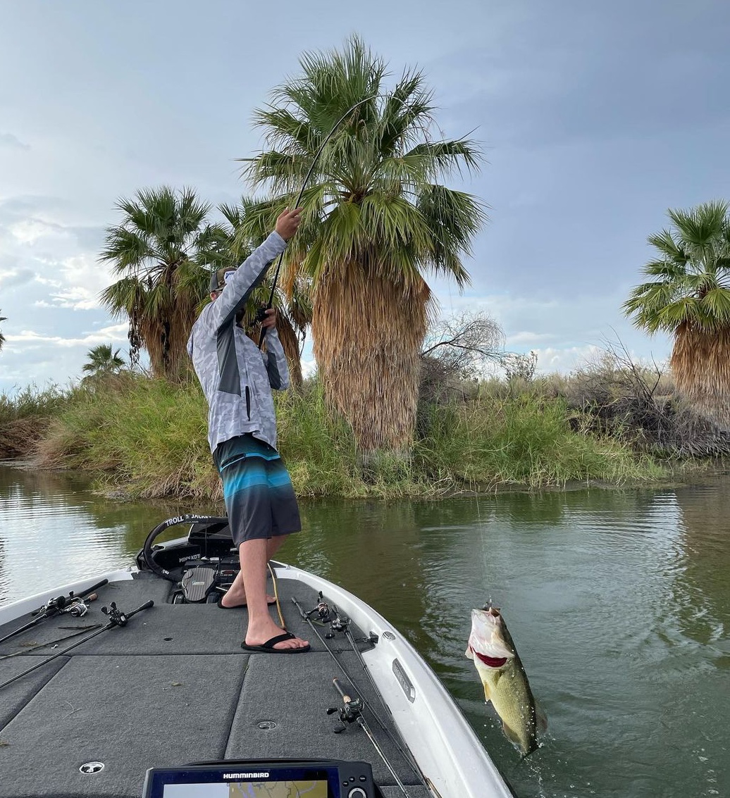 Scenic view of a European seabass in the water near MO