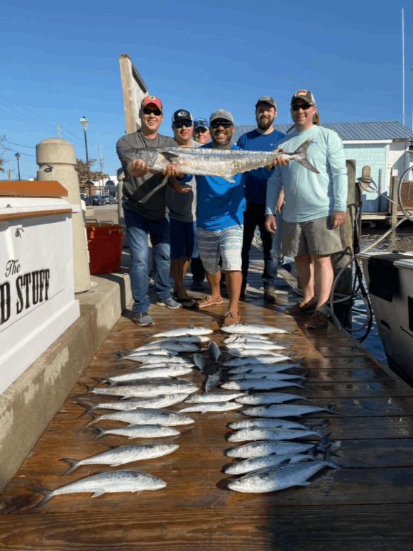 3 great barracuda fish caught in NC