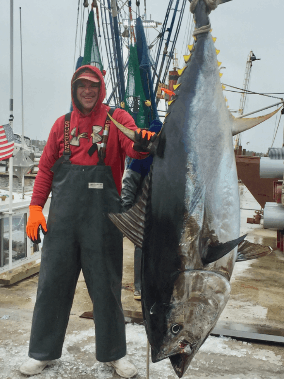 A single blackfin tuna fish caught in Atlantic Beach