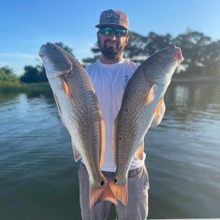 Angler catching big 28-inch fish in Tampa, Florida