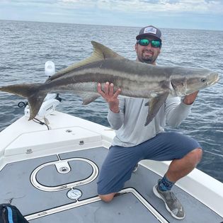 Catching a cobia fish in Tampa