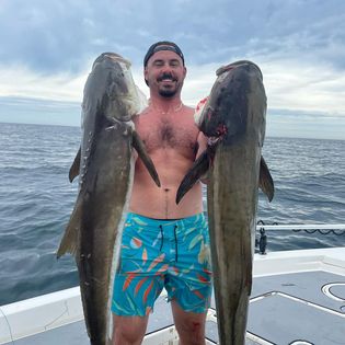 Two cobia fish caught in Tampa, Florida during a fishing trip