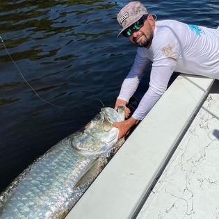 A stunning fishing scene in Tampa, Florida