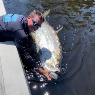 Pollock fish caught while fishing in Tampa