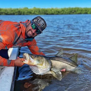Snook fishing in Tampa