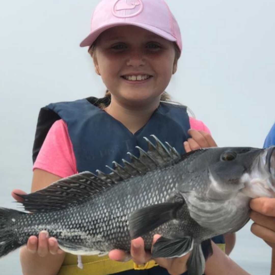 Fishing a sea bass in Falmouth
