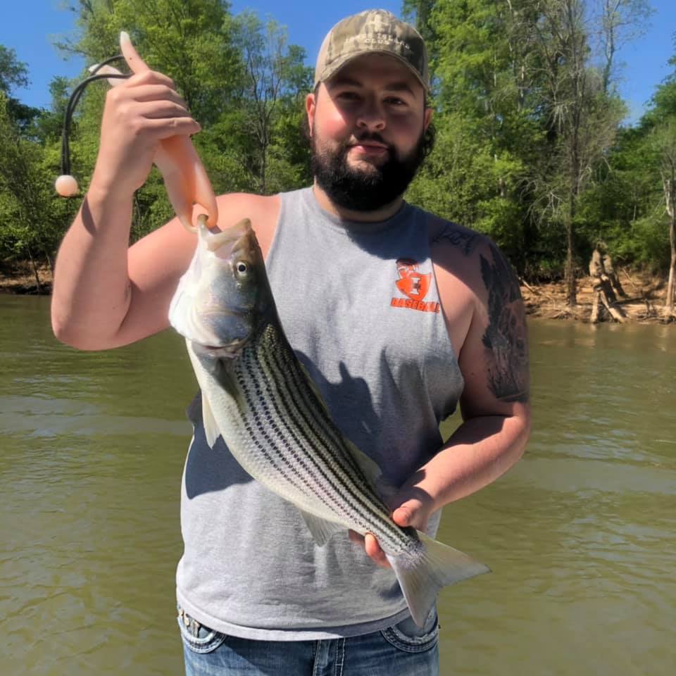 Striped bass fishing in NC