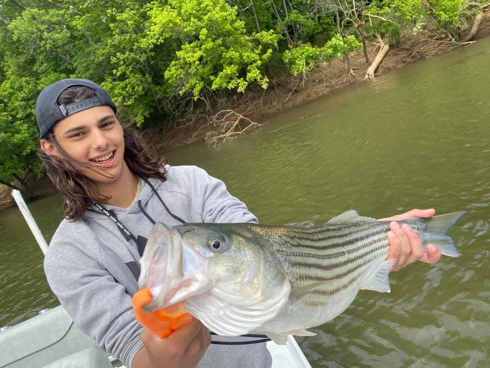 Striped bass caught in North Carolina