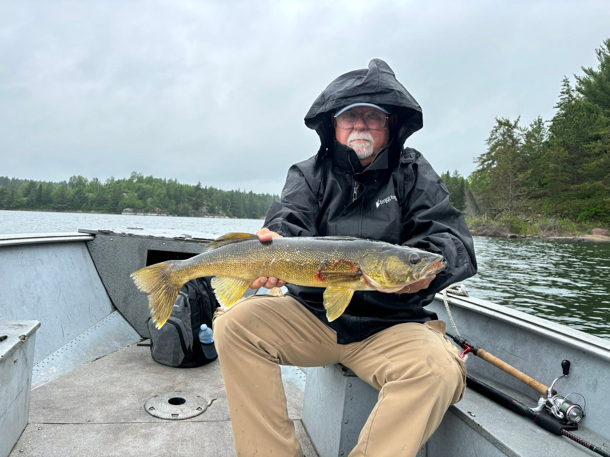 Walleye caught fishing in Nestor Falls ON
